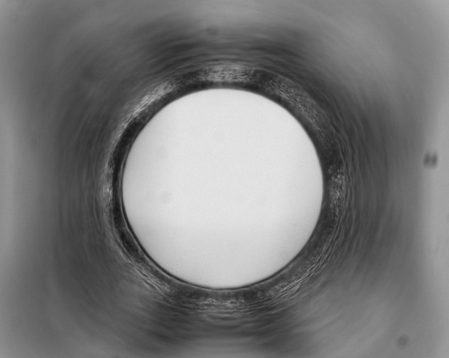 X0000098120727200805021156
