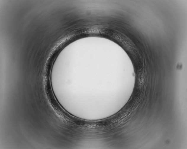 X0000098120728200805021156
