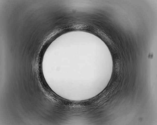 X0000098120730200805021156
