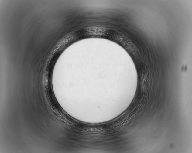 X0000098120731200805021156