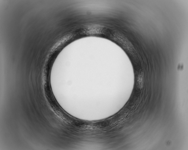 X0000098120732200805021156