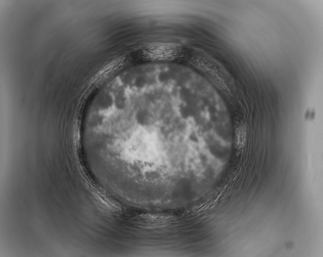 X0000098120733200805021156