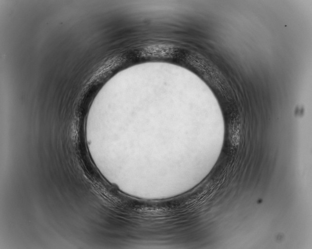 X0000098120735200805021156