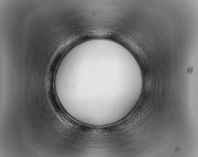 X0000098120736200805021156