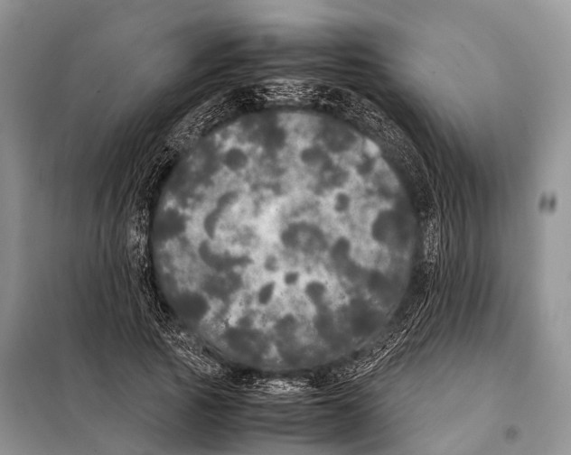 X0000098120737200805021156
