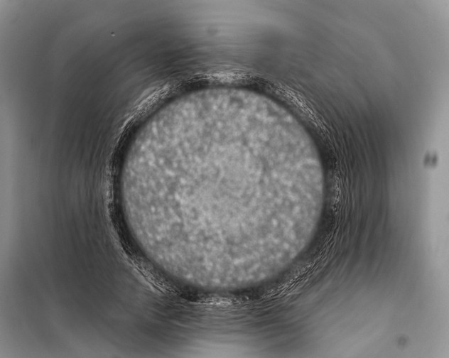X0000098120738200805021156