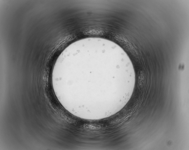 X0000098120739200805021156
