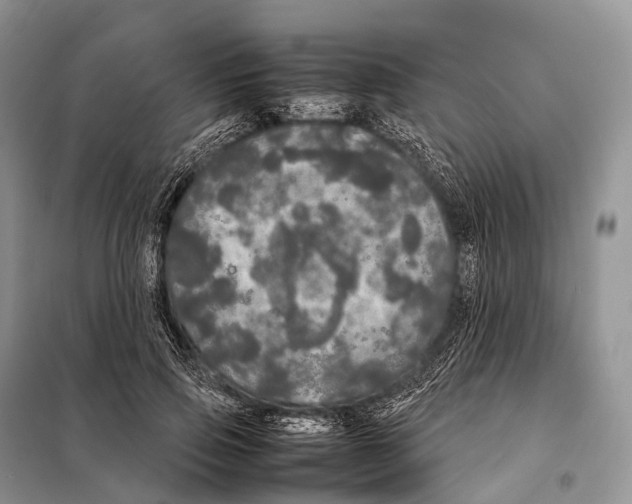 X0000098120741200805021156