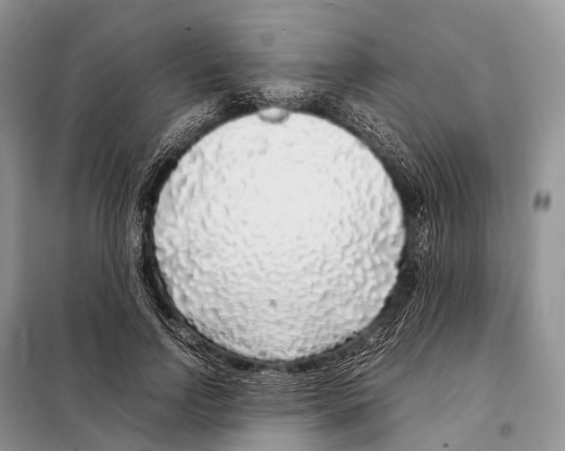 X0000098120742200805021156