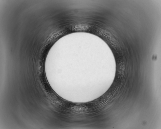 X0000098120743200805021156
