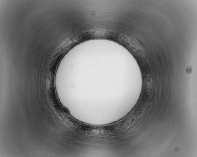 X0000098120744200805021156