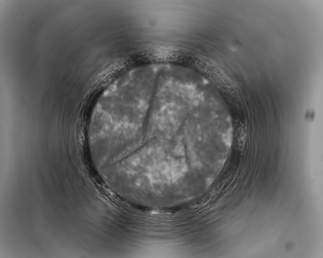 X0000098120746200805021156
