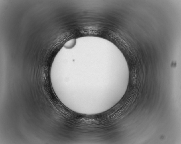 X0000098120747200805021156