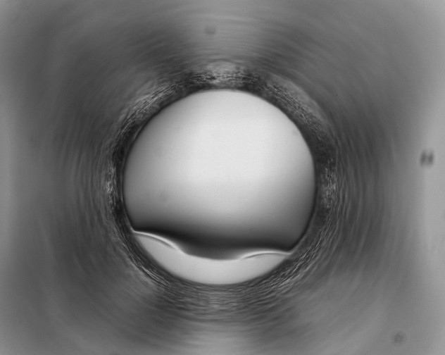 X0000098120748200805021156