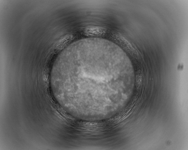 X0000098120749200805021156