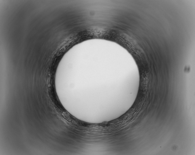 X0000098120750200805021156