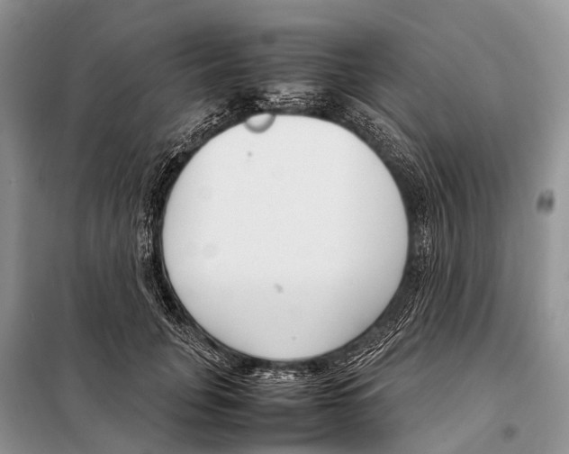 X0000098120751200805021156