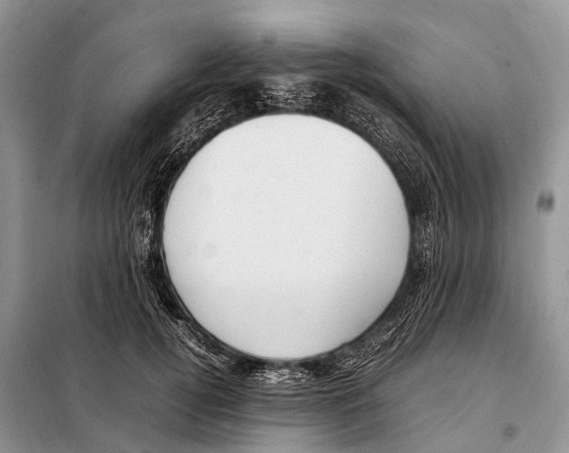 X0000098120752200805021156