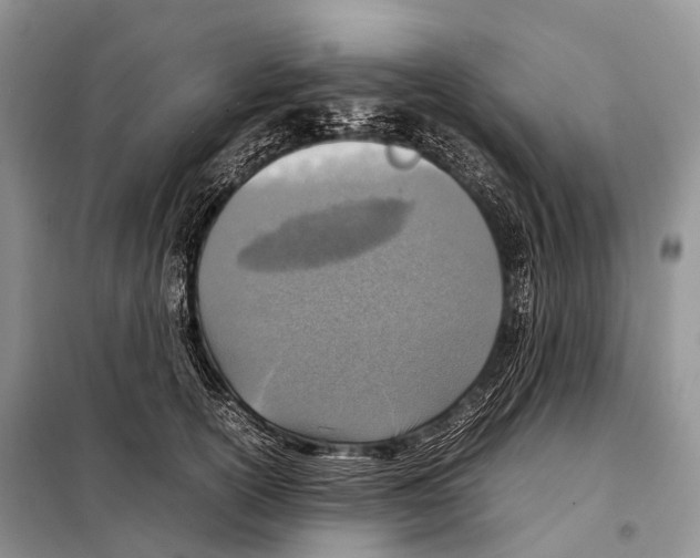 X0000098120754200805021156