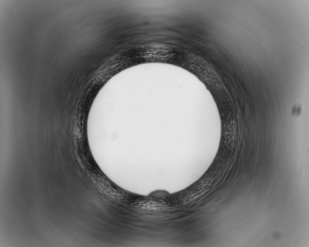 X0000098120755200805021156