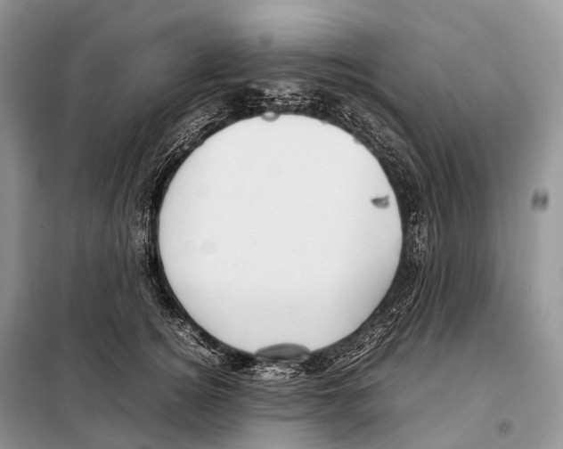 X0000098120756200805021156