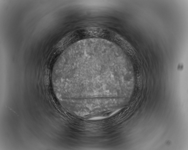 X0000098120757200805021156