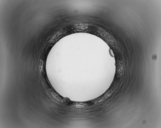 X0000098120758200805021156