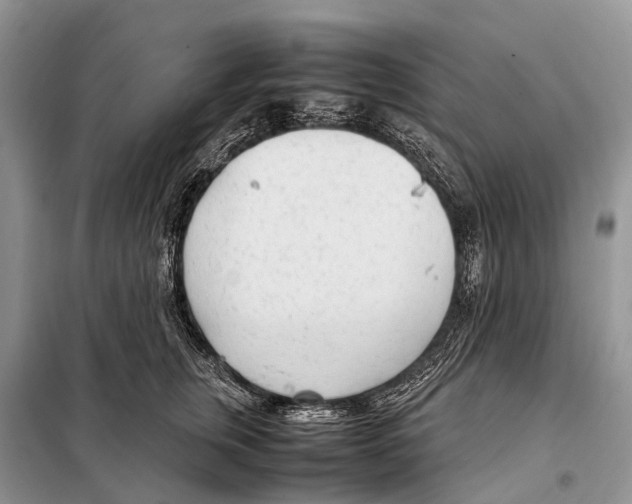 X0000098120759200805021156