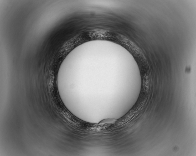 X0000098120760200805021156