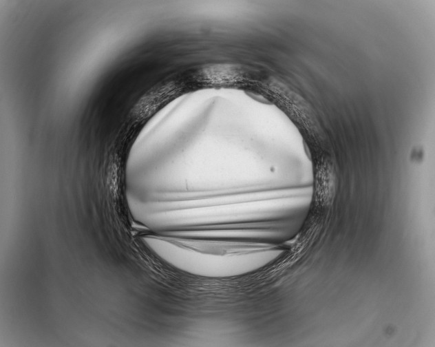 X0000098120762200805021156