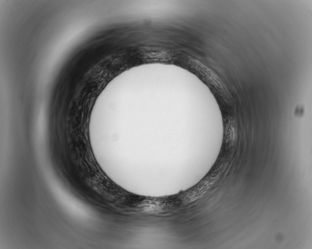 X0000098120764200805021156