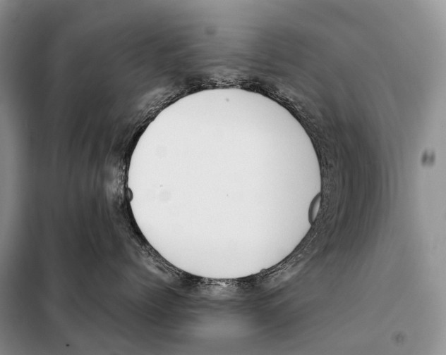 X0000098120768200805021156
