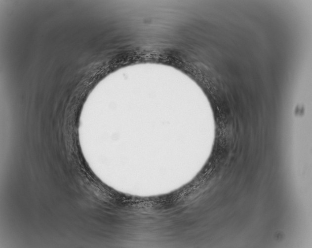 X0000098120769200805021155