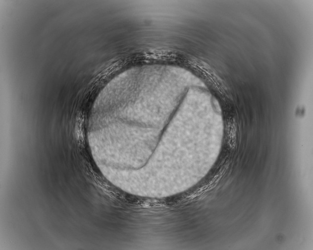 X0000098120770200805021155
