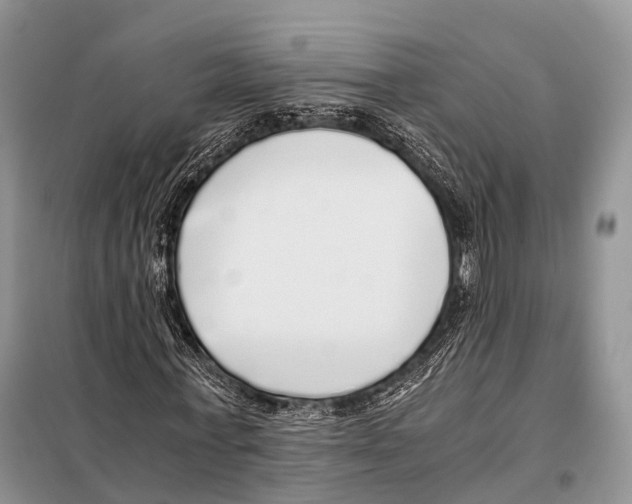 X0000098120771200805021155