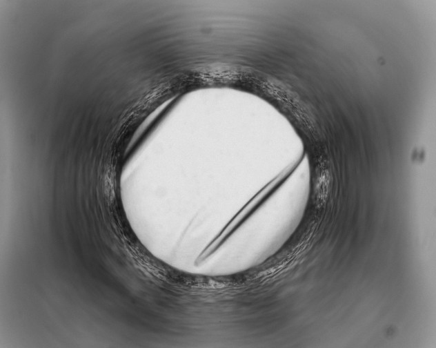 X0000098120772200805021155