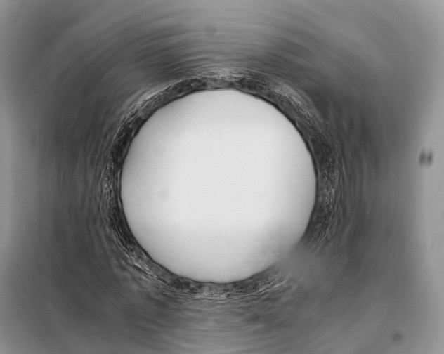 X0000098120773200805021155