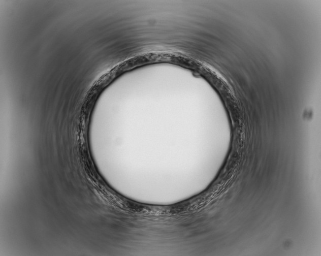 X0000098120775200805021155