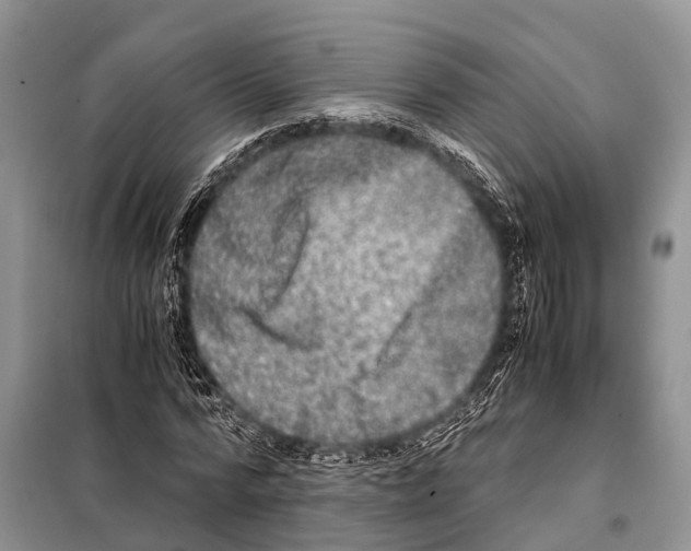 X0000098120776200805021155