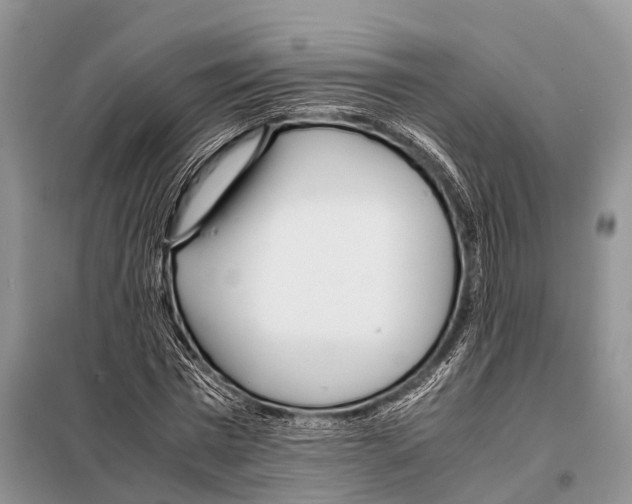 X0000098120777200805021155