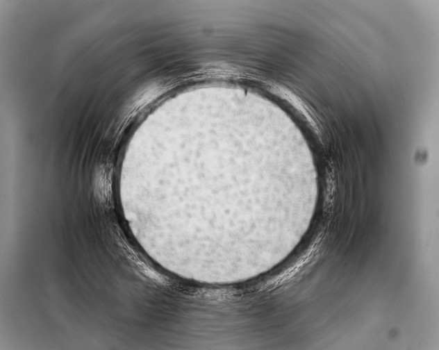 X0000098120778200805021155