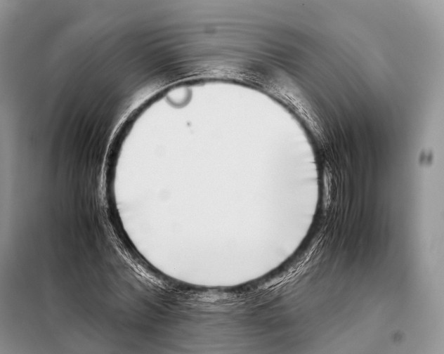 X0000098120780200805021155