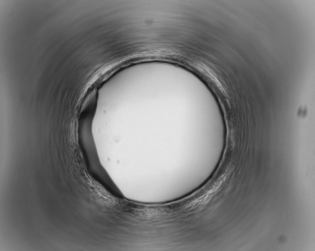 X0000098120781200805021155