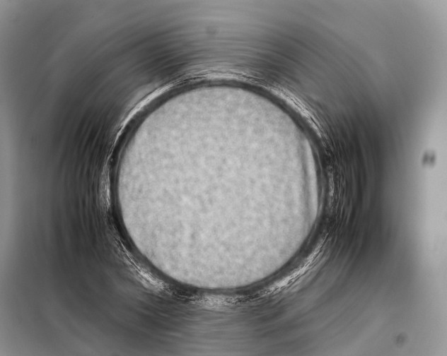 X0000098120782200805021155