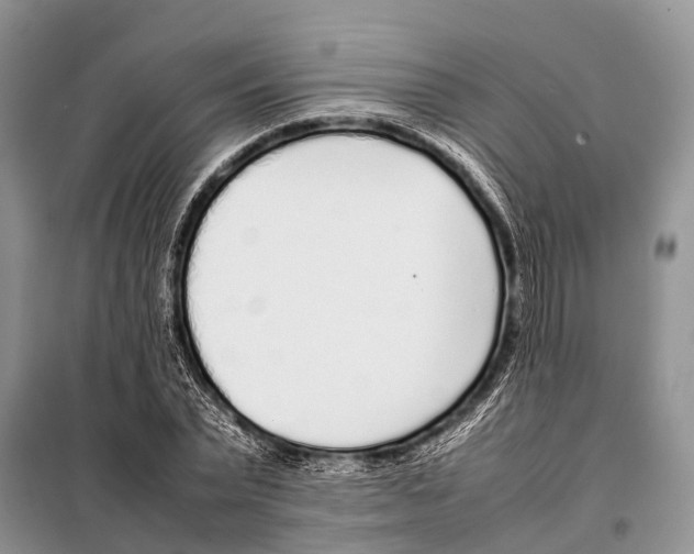 X0000098120783200805021155