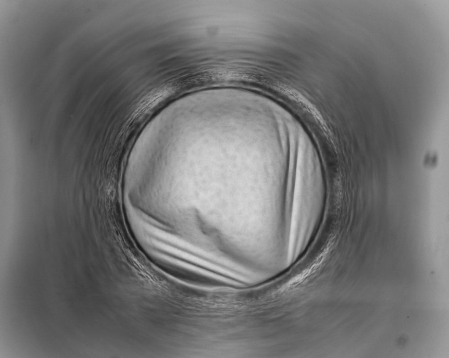 X0000098120785200805021155