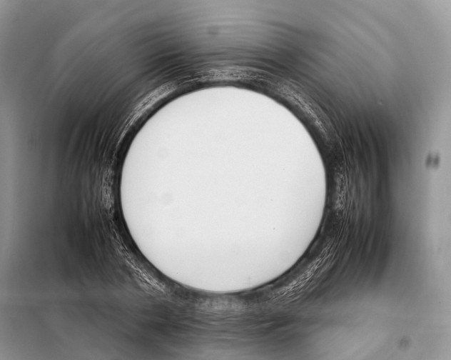 X0000098120786200805021155