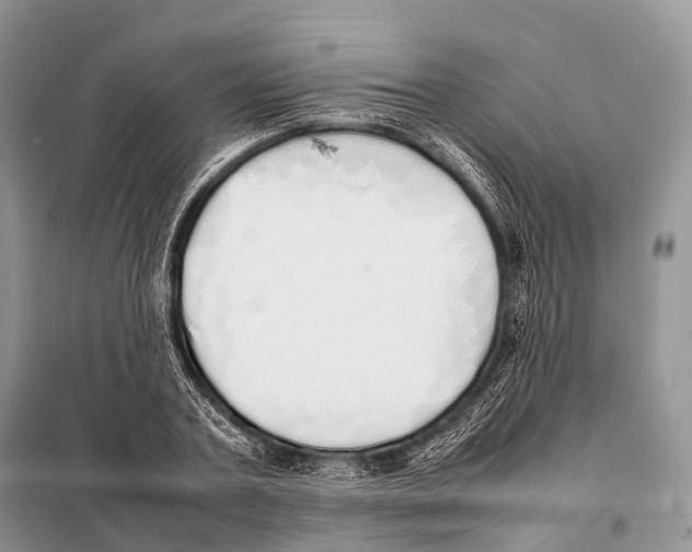 X0000098120787200805021155