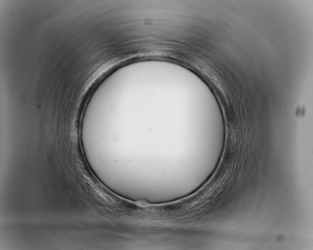 X0000098120789200805021155