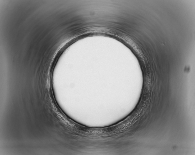X0000098120791200805021155